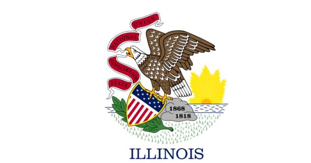 mejores escuelas de ingles en Illinois near me